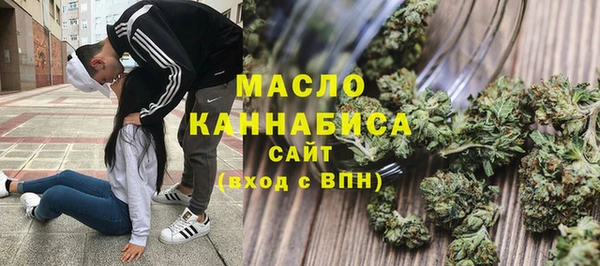 гашик Михайлов