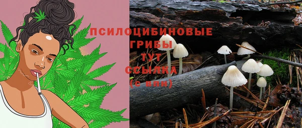 твердый Горняк