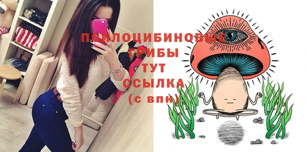 ECSTASY Надым