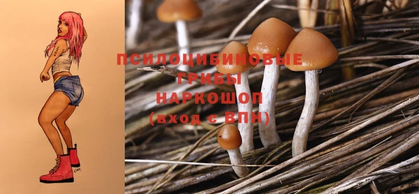 ECSTASY Надым