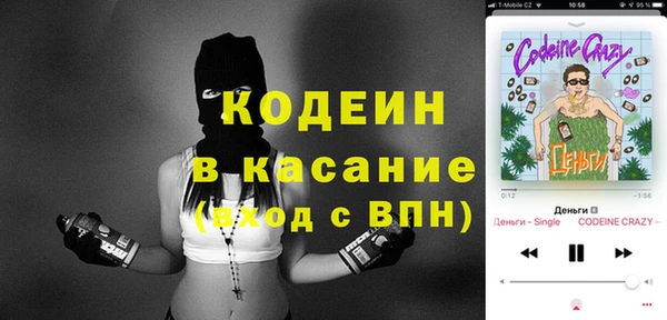 сатива Кукмор