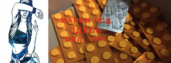 гашик Михайлов
