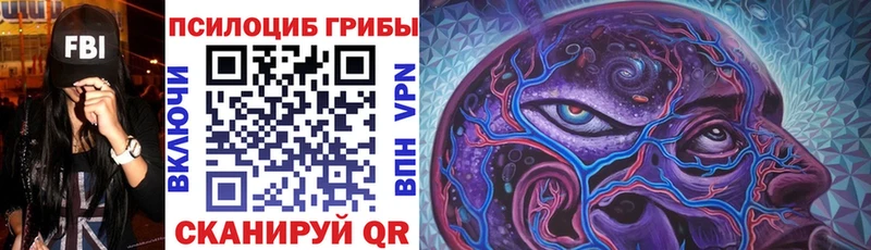 продажа наркотиков  Пущино  Галлюциногенные грибы Cubensis 